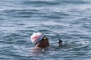Bodenseequerung-Bodman-30082013-Bodensee-Community-Seechat-DE_128.JPG