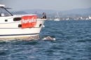 Bodenseequerung-Bodman-30082013-Bodensee-Community-Seechat-DE_63.JPG