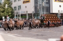 Trachtenumzug-Oktoberfest-Muenchen-22-09-2013--Bodensee-Community-SEECHAT_de-YX4M8218-1.jpg