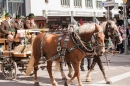 Trachtenumzug-Oktoberfest-Muenchen-22-09-2013--Bodensee-Community-SEECHAT_de-YX4M8386-1.jpg