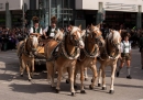 Trachtenumzug-Oktoberfest-Muenchen-22-09-2013--Bodensee-Community-SEECHAT_de-YX4M8392-1.jpg