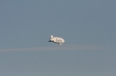 Zwei-Zeppelin-NT-Flug-Friedrichshafen-191013-Bodensee-Community-SEECHAT_de-IMG_5776.JPG