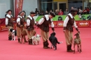 animal-Messe-Stuttgart-16-11-2013-Bodensee-Community-SEECHAT_DE-IMG_1668.JPG