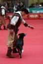 animal-Messe-Stuttgart-16-11-2013-Bodensee-Community-SEECHAT_DE-IMG_1670.JPG