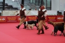 animal-Messe-Stuttgart-16-11-2013-Bodensee-Community-SEECHAT_DE-IMG_1672.JPG