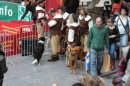 animal-Messe-Stuttgart-16-11-2013-Bodensee-Community-SEECHAT_DE-IMG_1686.JPG