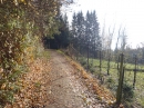 Bodensee-Herbst-Sipplingen-30-11-2013-Bodensee-Community-SEECHAT_DE-026.jpg