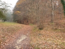 Bodensee-Herbst-Sipplingen-30-11-2013-Bodensee-Community-SEECHAT_DE-044.jpg