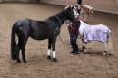 3-Koenigs-Reiten-Jettweiler-060114-BODENSEE-COMMUNITY-SEECHAT_DE-IMG_7309.JPG