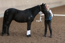 3-Koenigs-Reiten-Jettweiler-060114-BODENSEE-COMMUNITY-SEECHAT_DE-IMG_8530.JPG
