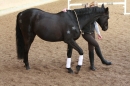 3-Koenigs-Reiten-Jettweiler-060114-BODENSEE-COMMUNITY-SEECHAT_DE-IMG_8572.JPG