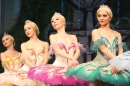 Russisches_Nationalballett-Dornroeschen-Ravensburg-150114-Bodensee-Community--SEECHAT_DE-_165.jpg