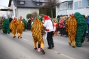Jubilaeumsumzug-Berg-180114-Bodensee-Community-Seechat_de--3205.jpg