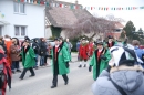 Jubilaeumsumzug-Berg-180114-Bodensee-Community-Seechat_de--3244.jpg