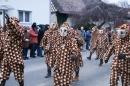 Jubilaeumsumzug-Berg-180114-Bodensee-Community-Seechat_de--3286.jpg
