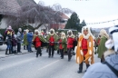 Jubilaeumsumzug-Berg-180114-Bodensee-Community-Seechat_de--3290.jpg