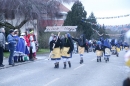 Jubilaeumsumzug-Berg-180114-Bodensee-Community-Seechat_de--3305.jpg