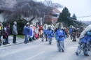 Jubilaeumsumzug-Berg-180114-Bodensee-Community-Seechat_de--3368.jpg