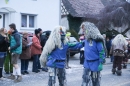 Jubilaeumsumzug-Berg-180114-Bodensee-Community-Seechat_de--3370.jpg