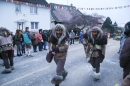 Jubilaeumsumzug-Berg-180114-Bodensee-Community-Seechat_de--3372.jpg