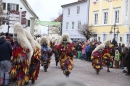 Narrensprung-Langenargen-190114-Bodensee-Community-Seechat_de--3529.jpg