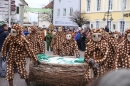 X2-Narrensprung-Langenargen-190114-Bodensee-Community-Seechat_de--3514.jpg