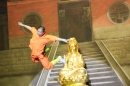 Shaolin-Kampfkunst-Singen-210114-Bodensee-Community-seechat_de-IMG_5238.JPG