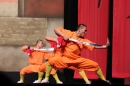 Shaolin-Kampfkunst-Singen-210114-Bodensee-Community-seechat_de-IMG_5334.JPG
