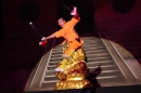 Shaolin-Kampfkunst-Singen-210114-Bodensee-Community-seechat_de-IMG_5412.JPG