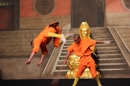 Shaolin-Kampfkunst-Singen-210114-Bodensee-Community-seechat_de-IMG_5540.JPG