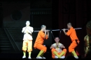 Shaolin-Kampfkunst-Singen-210114-Bodensee-Community-seechat_de-IMG_5671.JPG