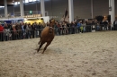 PFERD-BODENSEE-MESSE-Friedrichshafen-140214-Community-SEECHAT_DE-IMG_4521.JPG