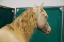 PFERD-BODENSEE-MESSE-Friedrichshafen-140214-Community-SEECHAT_DE-IMG_4573.JPG