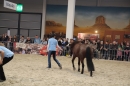 PFERD-BODENSEE-MESSE-Friedrichshafen-140214-Community-SEECHAT_DE-IMG_4574.JPG