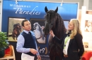 PFERD-BODENSEE-MESSE-Friedrichshafen-140214-Community-SEECHAT_DE-IMG_4584.JPG