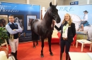 PFERD-BODENSEE-MESSE-Friedrichshafen-140214-Community-SEECHAT_DE-IMG_4588.JPG