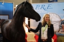PFERD-BODENSEE-MESSE-Friedrichshafen-140214-Community-SEECHAT_DE-IMG_4591.JPG