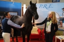 PFERD-BODENSEE-MESSE-Friedrichshafen-140214-Community-SEECHAT_DE-IMG_4597.JPG