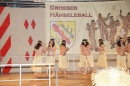 Haenseleball-WildeEngel-Stockach-23-02-14-Bodensee-Community-SEECHAT_DE-_15.jpg