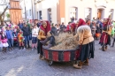 Narrensprung-Narrenbaumsetzen-Meersburg-230214-Bodensee-Community-Seechat_de--1415.jpg