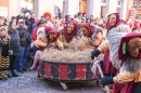 Narrensprung-Narrenbaumsetzen-Meersburg-230214-Bodensee-Community-Seechat_de--1672.jpg