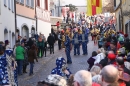 Narrensprung-Narrenbaumsetzen-Meersburg-230214-Bodensee-Community-Seechat_de--1742.jpg