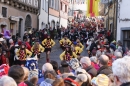 Narrensprung-Narrenbaumsetzen-Meersburg-230214-Bodensee-Community-Seechat_de--1746.jpg
