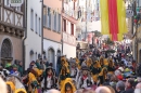 Narrensprung-Narrenbaumsetzen-Meersburg-230214-Bodensee-Community-Seechat_de--1786.jpg