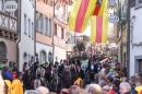 Narrensprung-Narrenbaumsetzen-Meersburg-230214-Bodensee-Community-Seechat_de--1787.jpg