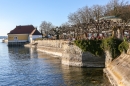 Narrensprung-Narrenbaumsetzen-Meersburg-230214-Bodensee-Community-Seechat_de--1900.jpg