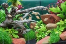Aqua-Fisch-Friedrichshafen-Messe-09-03-2014-Bodensee-Community-SEECHAT_DE-0015.JPG