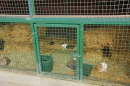 Lochmuehle-Eigeltingen-06-04-2014-Bodensee-Community-SEECHAT_DE-0057.JPG