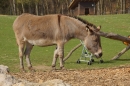 Lochmuehle-Eigeltingen-06-04-2014-Bodensee-Community-SEECHAT_DE-0098.JPG