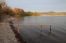 Naturschutzgebiet-Bodman-Ludwigshafen-7-4-14-Bodensee-Community-SEECHAT_DE-IMG_2179.JPG